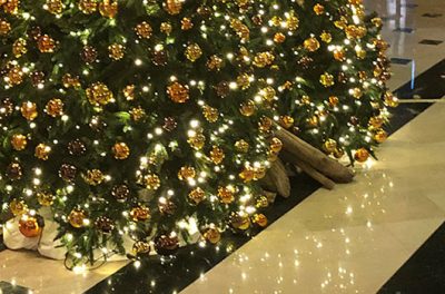 Galadari Hotels (Lanka) Limited